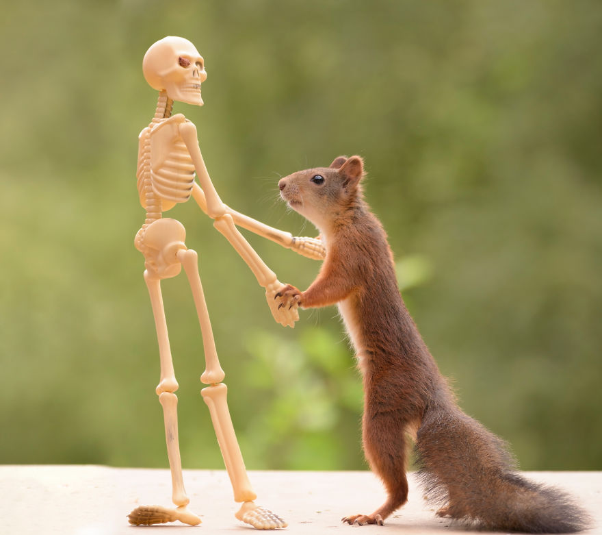 'Tình sóc duyên ma' - Bộ ảnh Halloween chất chơi của chú sóc nhỏ 'Tình sóc duyên ma' - Bộ ảnh Halloween chất chơi của chú sóc nhỏ