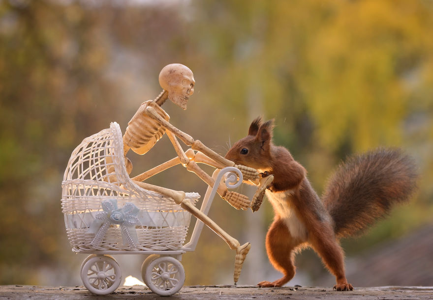 'Tình sóc duyên ma' - Bộ ảnh Halloween chất chơi của chú sóc nhỏ 'Tình sóc duyên ma' - Bộ ảnh Halloween chất chơi của chú sóc nhỏ