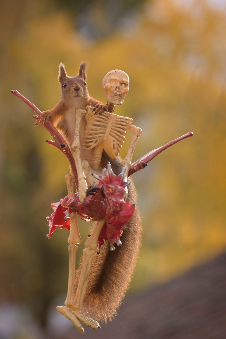 'Tình sóc duyên ma' - Bộ ảnh Halloween chất chơi của chú sóc nhỏ 'Tình sóc duyên ma' - Bộ ảnh Halloween chất chơi của chú sóc nhỏ