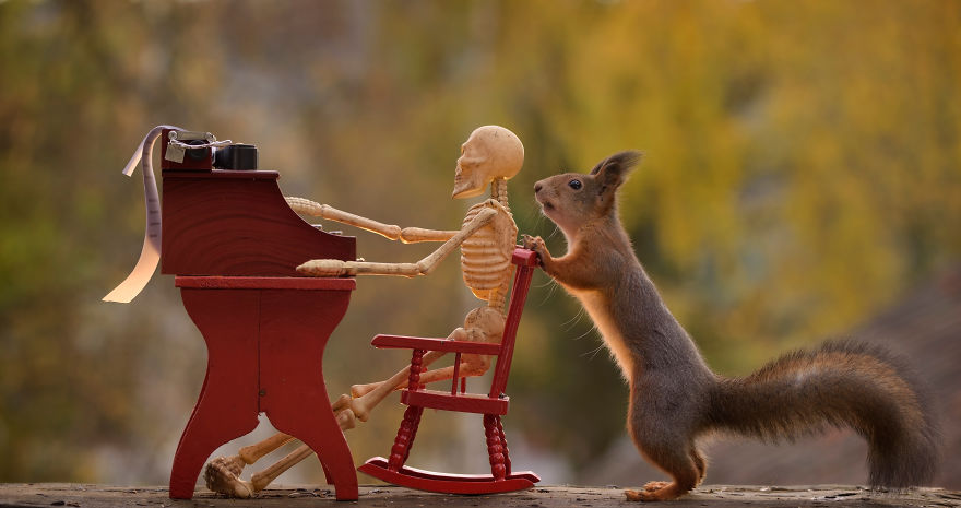 'Tình sóc duyên ma' - Bộ ảnh Halloween chất chơi của chú sóc nhỏ 'Tình sóc duyên ma' - Bộ ảnh Halloween chất chơi của chú sóc nhỏ