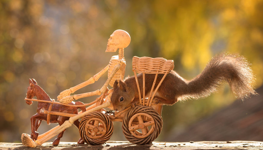 'Tình sóc duyên ma' - Bộ ảnh Halloween chất chơi của chú sóc nhỏ 'Tình sóc duyên ma' - Bộ ảnh Halloween chất chơi của chú sóc nhỏ