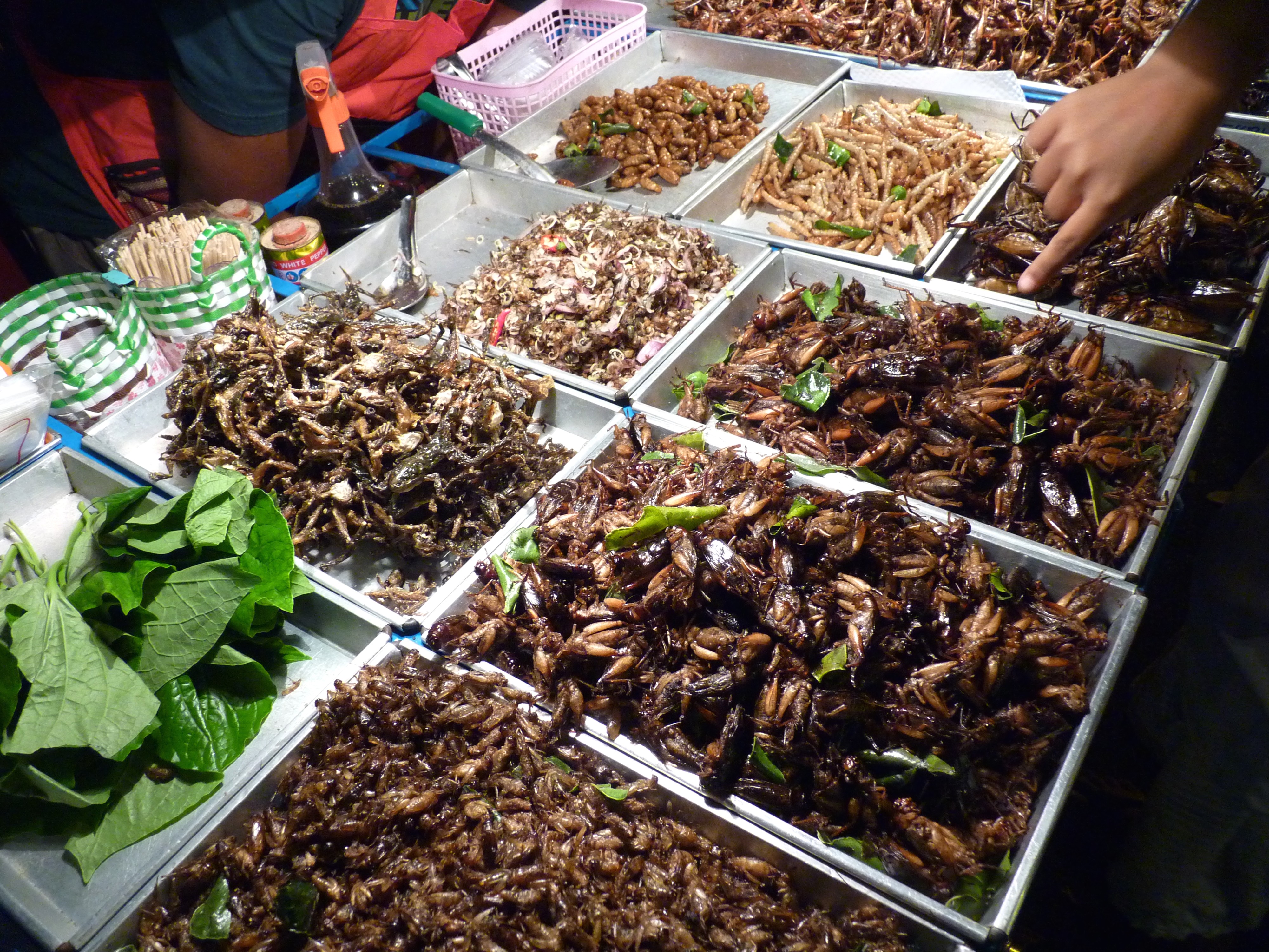 10 thứ kỳ lạ và hay ho có thể mua làm quà ở chợ đêm Chiang Mai 10 thứ kỳ lạ và hay ho có thể mua làm quà ở chợ đêm Chiang Mai