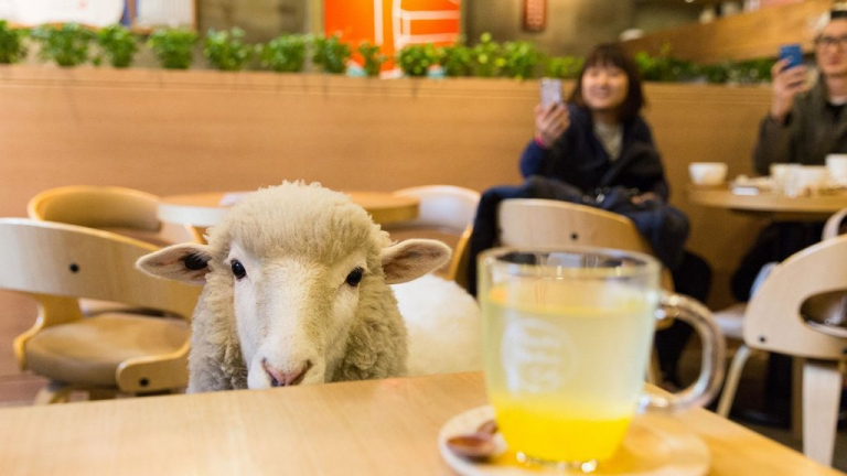 Hình check-in Seoul sẽ được nhiều like hơn nếu chụp tại những địa điểm này Hình check-in Seoul sẽ được nhiều like hơn nếu chụp tại những địa điểm này