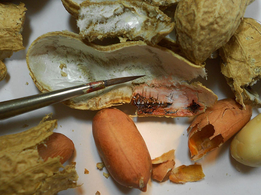 Vẽ tranh lên thực phẩm: Có thèm cũng chẳng nỡ ăn! Vẽ tranh lên thực phẩm: Có thèm cũng chẳng nỡ ăn!