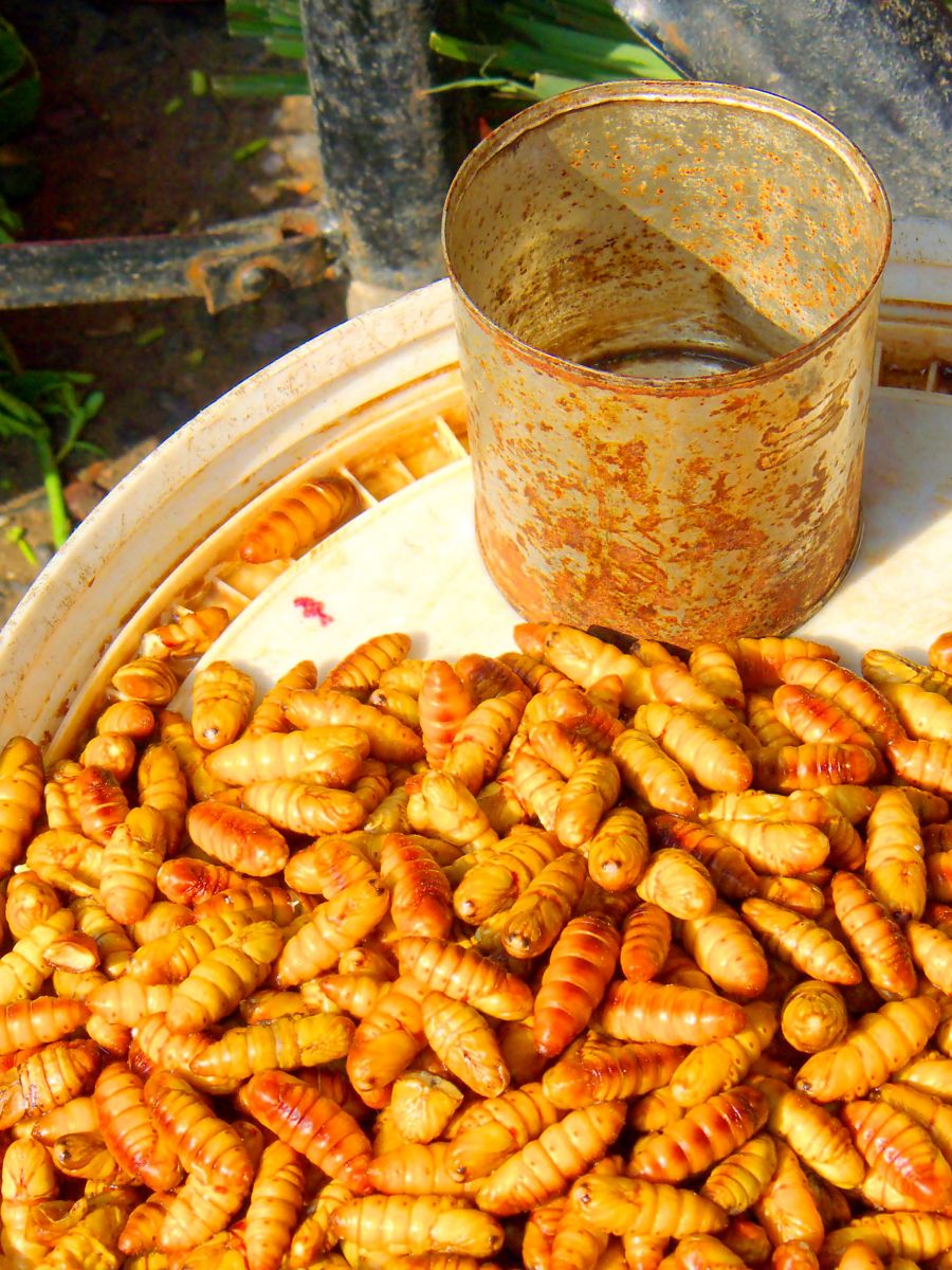 Những món ăn khiến khách nước ngoài kêu 'trời' khi ghé thăm Việt Nam Những món ăn khiến khách nước ngoài kêu 'trời' khi ghé thăm Việt Nam