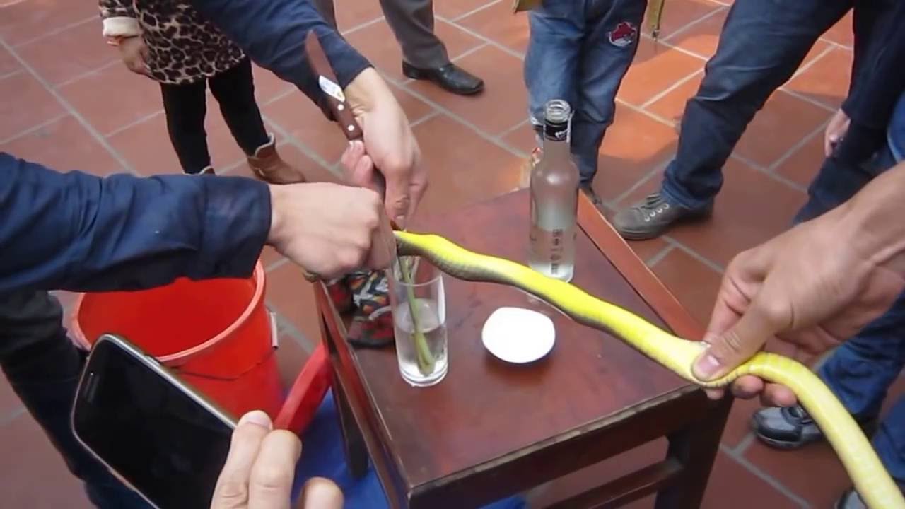 Những món ăn khiến khách nước ngoài kêu 'trời' khi ghé thăm Việt Nam Những món ăn khiến khách nước ngoài kêu 'trời' khi ghé thăm Việt Nam