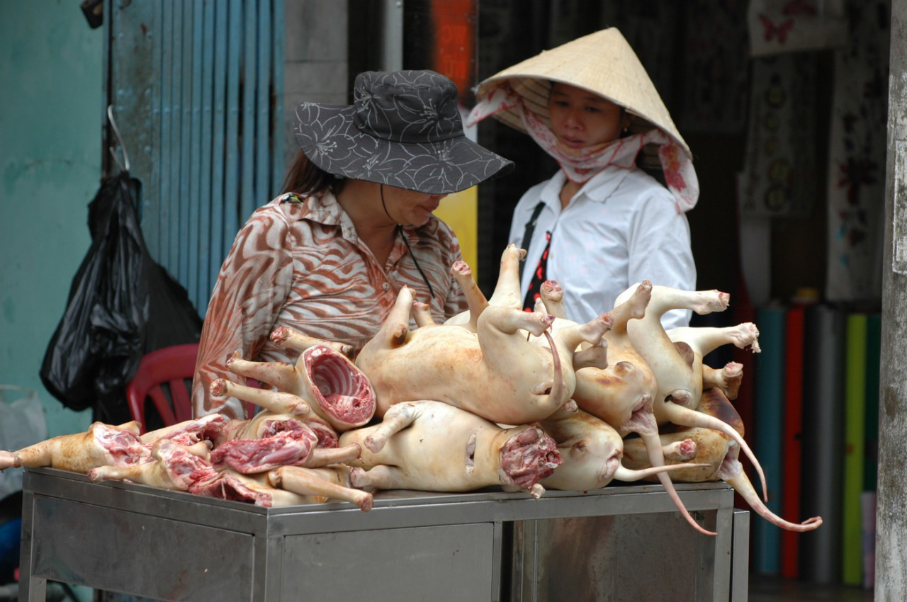 Những món ăn khiến khách nước ngoài kêu 'trời' khi ghé thăm Việt Nam Những món ăn khiến khách nước ngoài kêu 'trời' khi ghé thăm Việt Nam