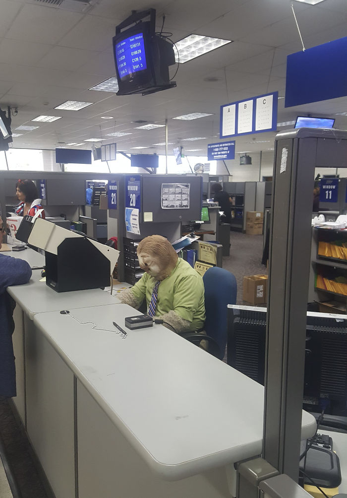 Lười Flash trong đời thật: Cute đấy nhưng không ai muốn làm việc chung đâu! Lười Flash trong đời thật: Cute đấy nhưng không ai muốn làm việc chung đâu!
