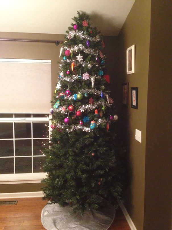 Báo động: Đến mùa bảo vệ 'tính mạng' cây thông Noel khỏi lũ thú cưng rồi! Báo động: Đến mùa bảo vệ 'tính mạng' cây thông Noel khỏi lũ thú cưng rồi!