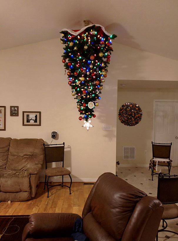 Báo động: Đến mùa bảo vệ 'tính mạng' cây thông Noel khỏi lũ thú cưng rồi! Báo động: Đến mùa bảo vệ 'tính mạng' cây thông Noel khỏi lũ thú cưng rồi!