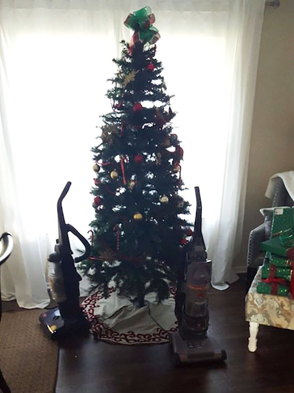 Báo động: Đến mùa bảo vệ 'tính mạng' cây thông Noel khỏi lũ thú cưng rồi! Báo động: Đến mùa bảo vệ 'tính mạng' cây thông Noel khỏi lũ thú cưng rồi!