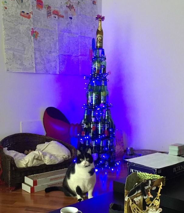 Báo động: Đến mùa bảo vệ 'tính mạng' cây thông Noel khỏi lũ thú cưng rồi! Báo động: Đến mùa bảo vệ 'tính mạng' cây thông Noel khỏi lũ thú cưng rồi!