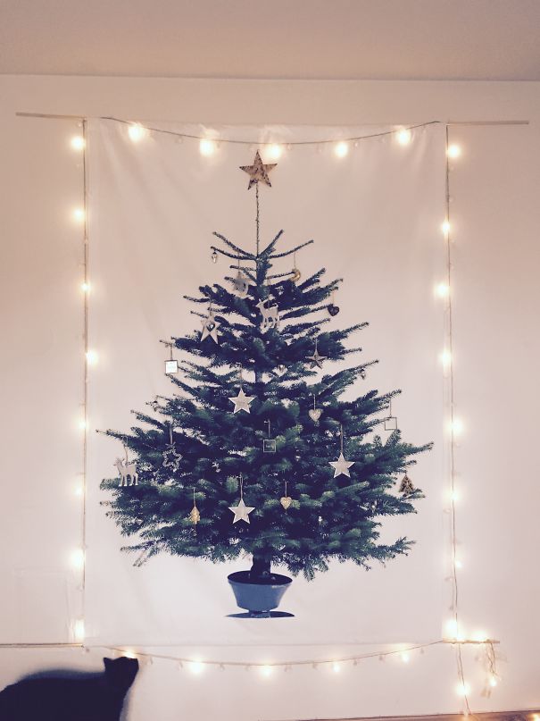 Báo động: Đến mùa bảo vệ 'tính mạng' cây thông Noel khỏi lũ thú cưng rồi! Báo động: Đến mùa bảo vệ 'tính mạng' cây thông Noel khỏi lũ thú cưng rồi!