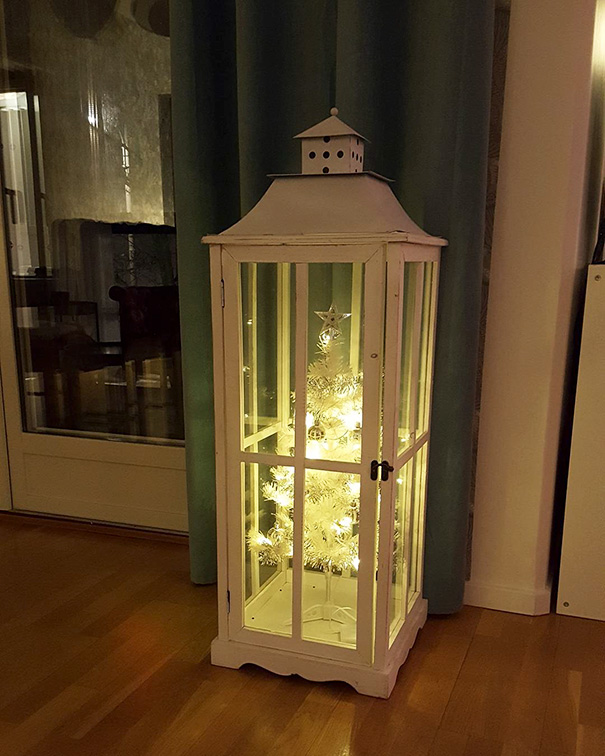 Báo động: Đến mùa bảo vệ 'tính mạng' cây thông Noel khỏi lũ thú cưng rồi! Báo động: Đến mùa bảo vệ 'tính mạng' cây thông Noel khỏi lũ thú cưng rồi!
