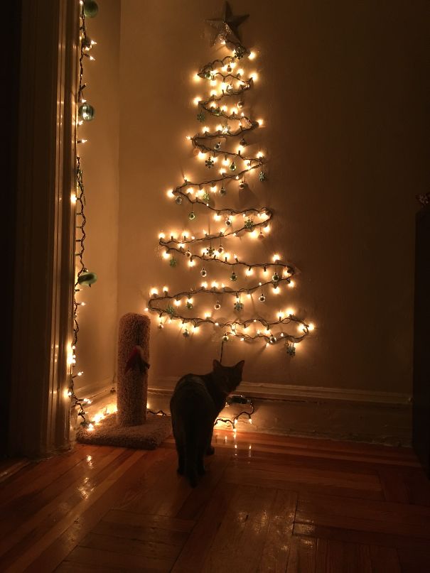 Báo động: Đến mùa bảo vệ 'tính mạng' cây thông Noel khỏi lũ thú cưng rồi! Báo động: Đến mùa bảo vệ 'tính mạng' cây thông Noel khỏi lũ thú cưng rồi!