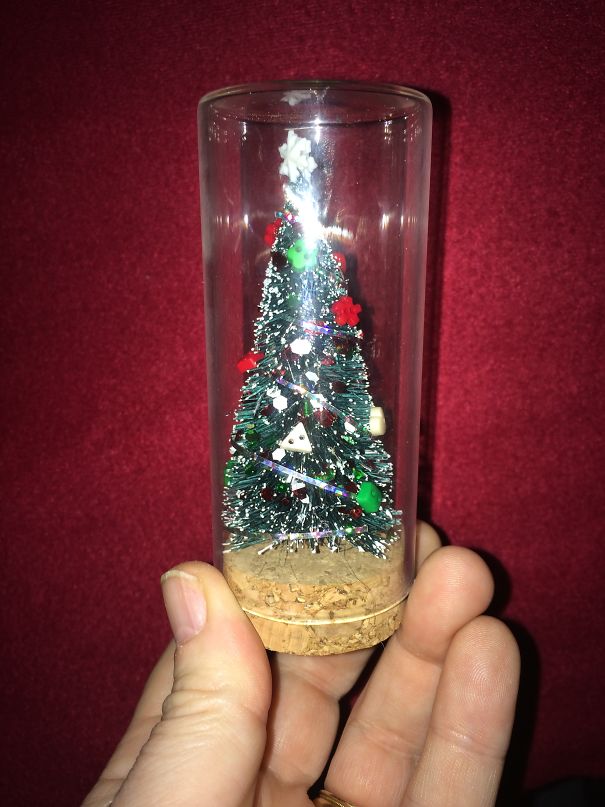Báo động: Đến mùa bảo vệ 'tính mạng' cây thông Noel khỏi lũ thú cưng rồi! Báo động: Đến mùa bảo vệ 'tính mạng' cây thông Noel khỏi lũ thú cưng rồi!