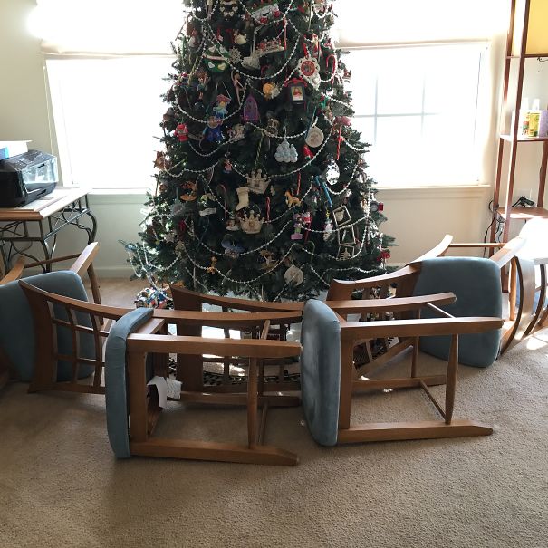 Báo động: Đến mùa bảo vệ 'tính mạng' cây thông Noel khỏi lũ thú cưng rồi! Báo động: Đến mùa bảo vệ 'tính mạng' cây thông Noel khỏi lũ thú cưng rồi!