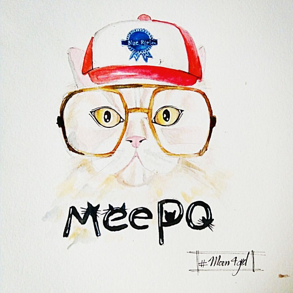 99% mèo sợ nước, và Meepo thuộc 1% còn lại 99% mèo sợ nước, và Meepo thuộc 1% còn lại