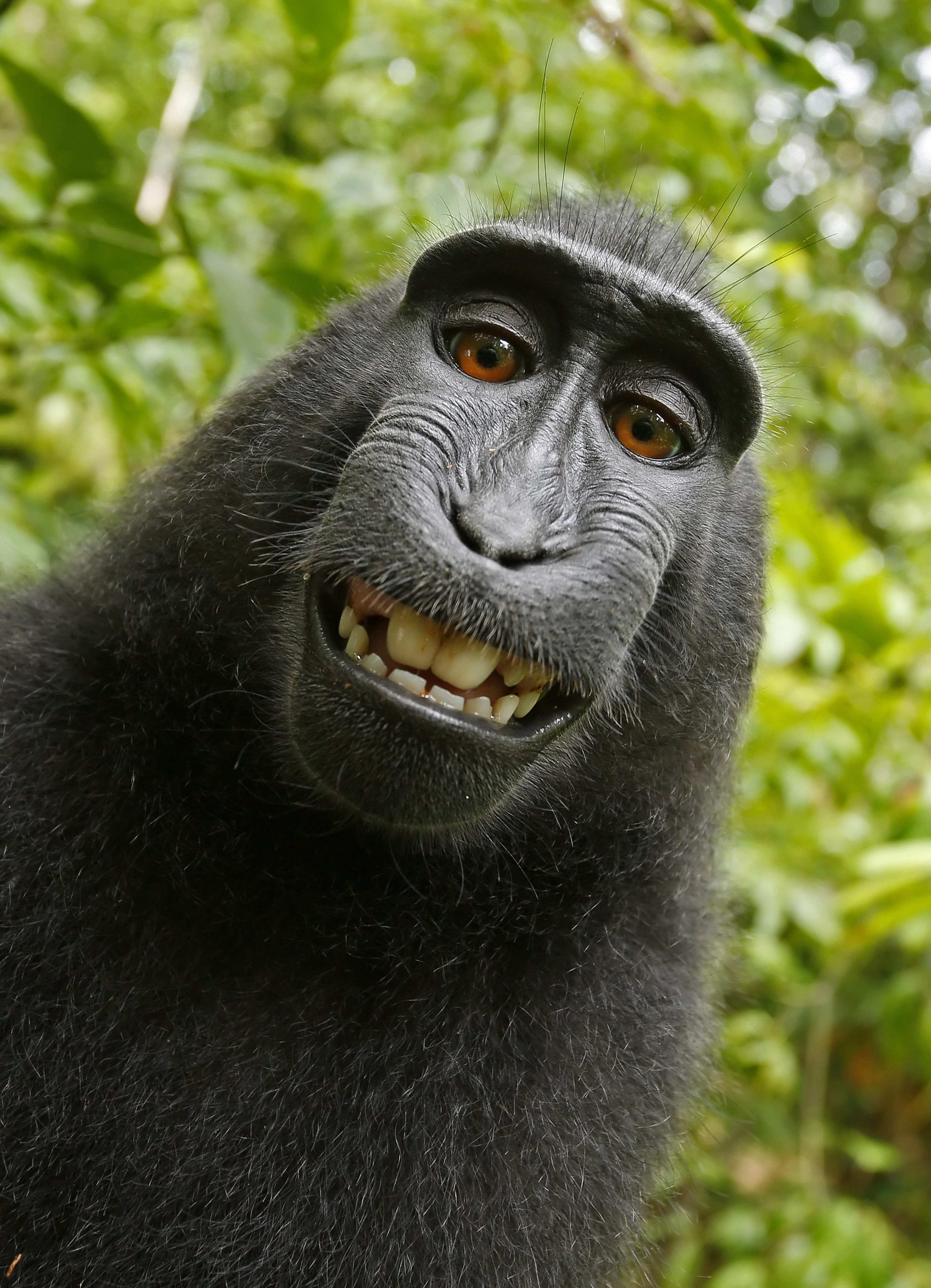 Selfie (chụp ảnh tự sướng): Lịch sử gần 200 năm và các gương mặt 'ông bà tổ' Selfie (chụp ảnh tự sướng): Lịch sử gần 200 năm và các gương mặt 'ông bà tổ'