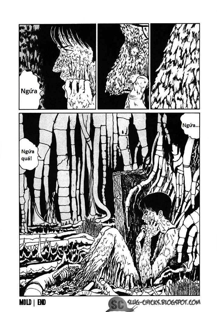 Tắt đèn, trùm chăn đọc 10 manga xuất sắc của 'bậc thầy kinh dị' Junji Ito Tắt đèn, trùm chăn đọc 10 manga xuất sắc của 'bậc thầy kinh dị' Junji Ito