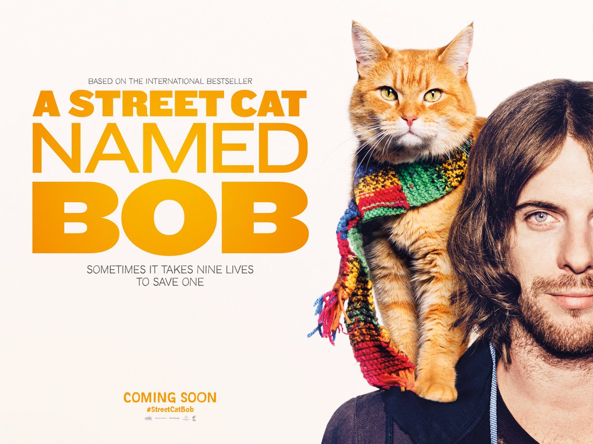 Bob - Chú mèo đường phố: Tại sao bạn nên đọc sách trước khi xem phim? Bob - Chú mèo đường phố: Tại sao bạn nên đọc sách trước khi xem phim?