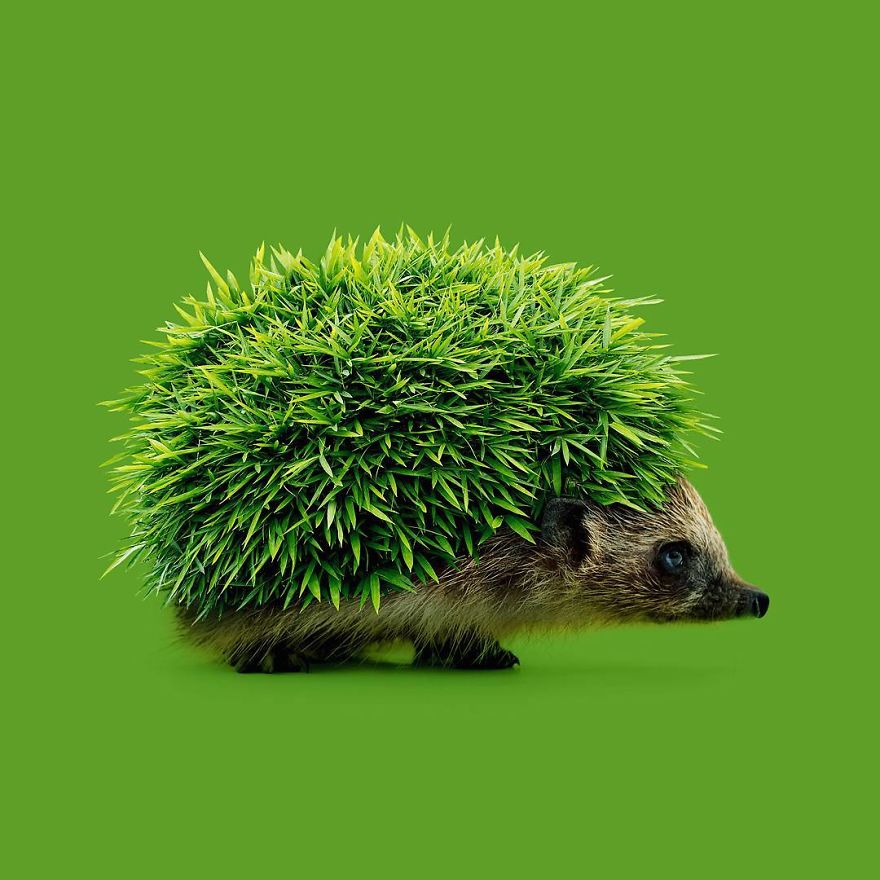 Khi thánh 'chơi chữ' thuần thục Photoshop Khi thánh 'chơi chữ' thuần thục Photoshop