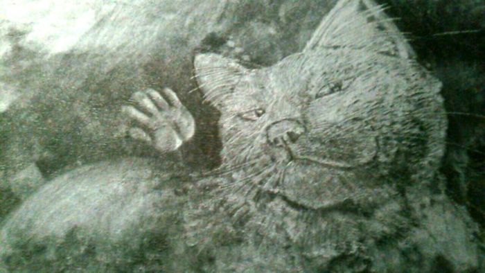 Cô gái đeo mặt nạ mê hoặc người xem bằng tranh 'vẽ' trên thảm Cô gái đeo mặt nạ mê hoặc người xem bằng tranh 'vẽ' trên thảm