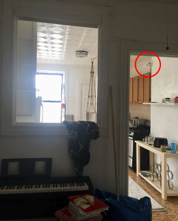 Cô chủ đăng ảnh 'thách' cư dân mạng tìm được boss mèo trong 5 giây Cô chủ đăng ảnh 'thách' cư dân mạng tìm được boss mèo trong 5 giây