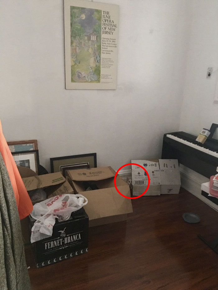 Cô chủ đăng ảnh 'thách' cư dân mạng tìm được boss mèo trong 5 giây Cô chủ đăng ảnh 'thách' cư dân mạng tìm được boss mèo trong 5 giây