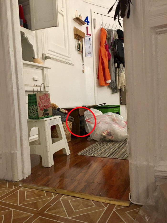 Cô chủ đăng ảnh 'thách' cư dân mạng tìm được boss mèo trong 5 giây Cô chủ đăng ảnh 'thách' cư dân mạng tìm được boss mèo trong 5 giây