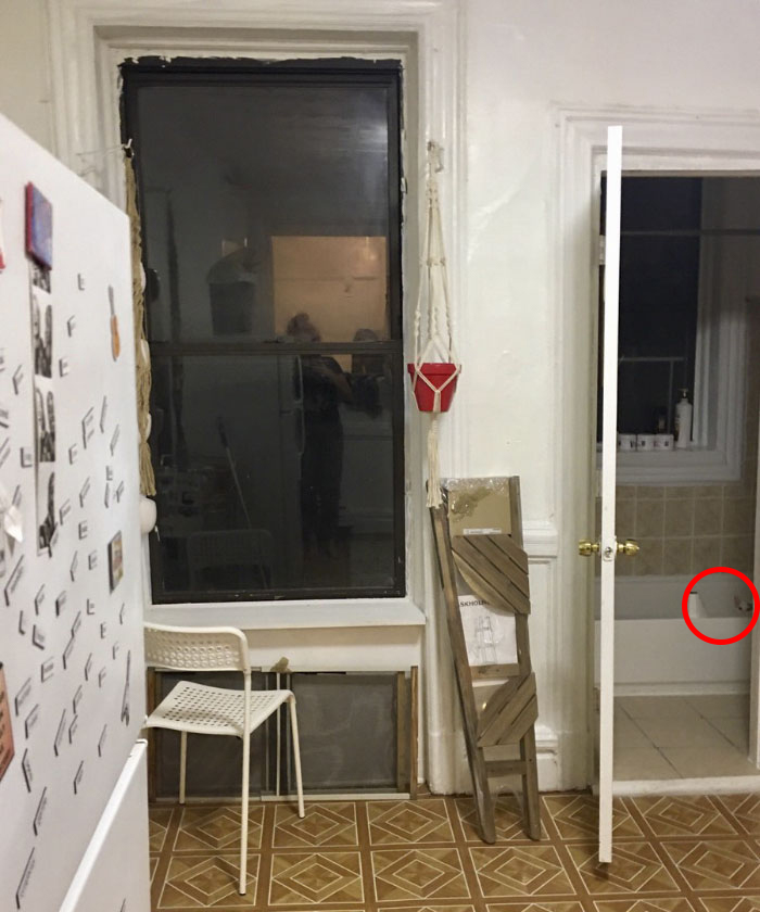 Cô chủ đăng ảnh 'thách' cư dân mạng tìm được boss mèo trong 5 giây Cô chủ đăng ảnh 'thách' cư dân mạng tìm được boss mèo trong 5 giây