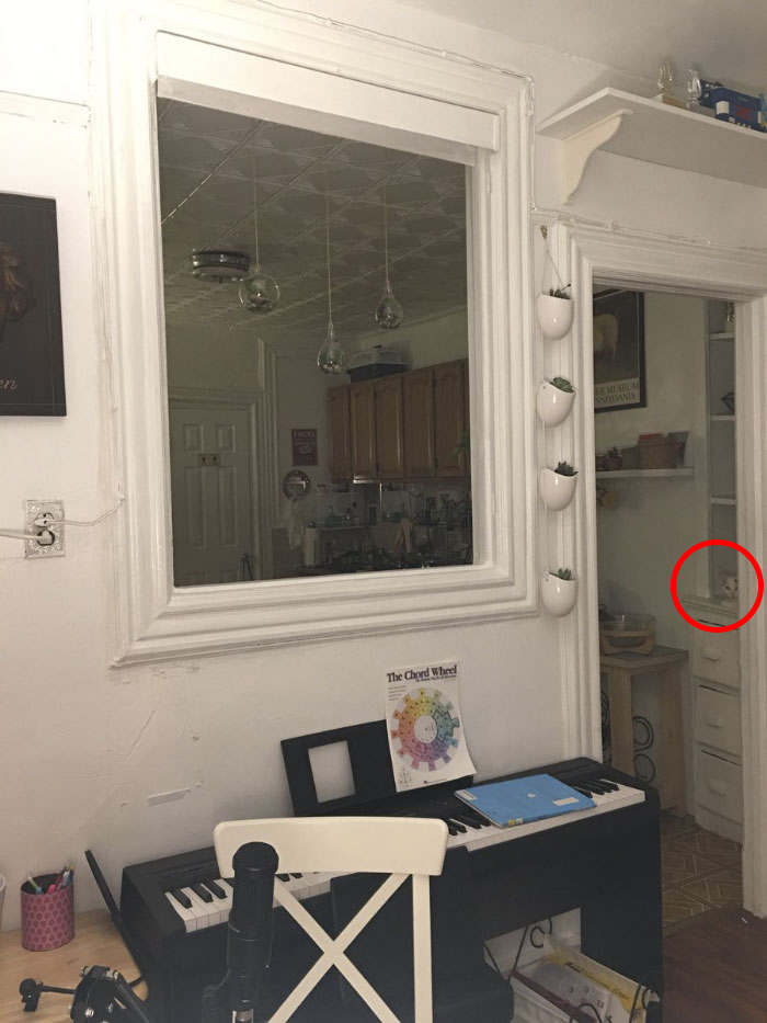 Cô chủ đăng ảnh 'thách' cư dân mạng tìm được boss mèo trong 5 giây Cô chủ đăng ảnh 'thách' cư dân mạng tìm được boss mèo trong 5 giây