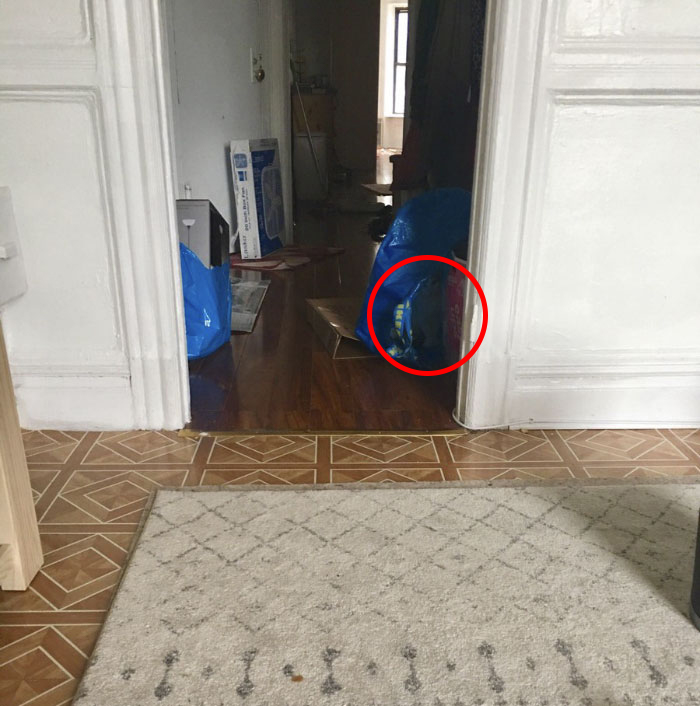 Cô chủ đăng ảnh 'thách' cư dân mạng tìm được boss mèo trong 5 giây Cô chủ đăng ảnh 'thách' cư dân mạng tìm được boss mèo trong 5 giây