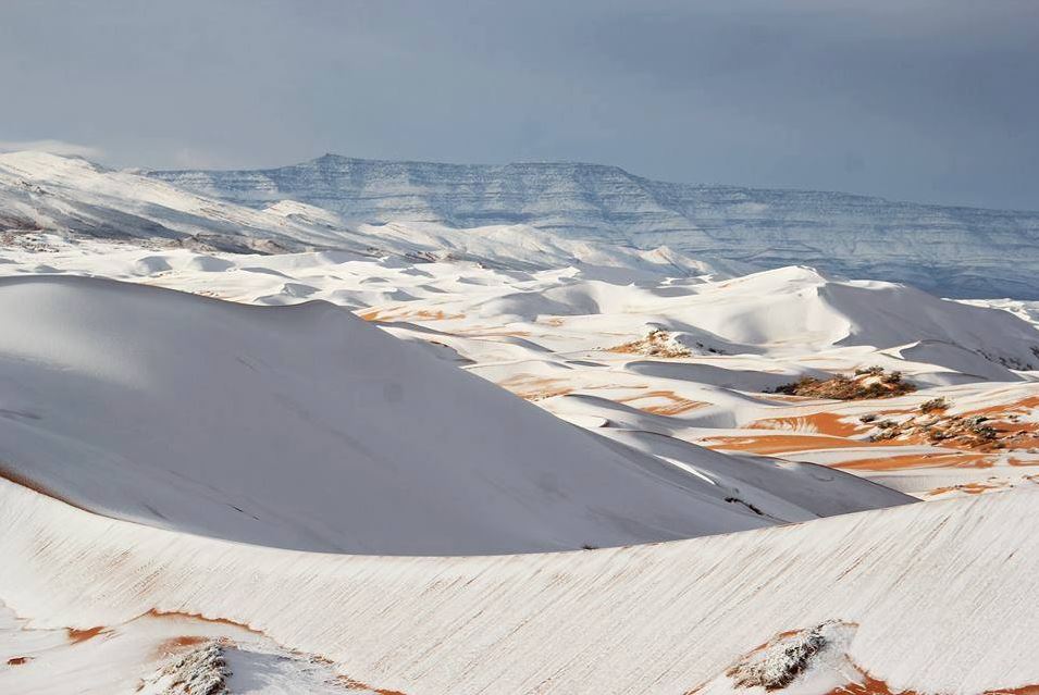 Chuyện không thể tin: Sa mạc Sahara tiếp tục có... tuyết rơi Chuyện không thể tin: Sa mạc Sahara tiếp tục có... tuyết rơi