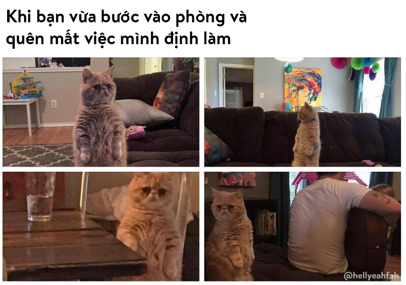 10 tình huống 'dở khóc dở cười' ai trong chúng ta cũng đã từng gặp (Kỳ 1) 10 tình huống 'dở khóc dở cười' ai trong chúng ta cũng đã từng gặp (Kỳ 1)