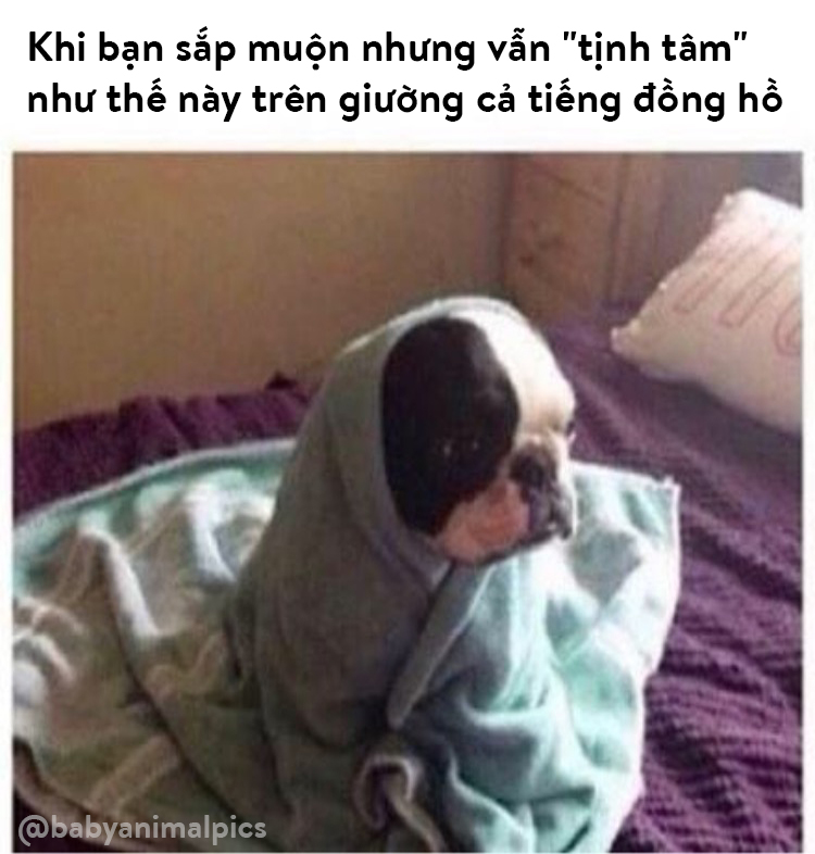 10 tình huống 'dở khóc dở cười' ai trong chúng ta cũng đã từng gặp (Kỳ 1) 10 tình huống 'dở khóc dở cười' ai trong chúng ta cũng đã từng gặp (Kỳ 1)