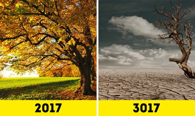 Dự đoán Trái đất 1000 năm sau: Con người sẽ thọ 1000 tuổi, đi xuyên vũ trụ mỗi ngày Dự đoán Trái đất 1000 năm sau: Con người sẽ thọ 1000 tuổi, đi xuyên vũ trụ mỗi ngày
