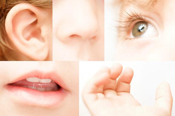 10 kiến thức 'sai lè' bạn được học ở trường 10 kiến thức 'sai lè' bạn được học ở trường