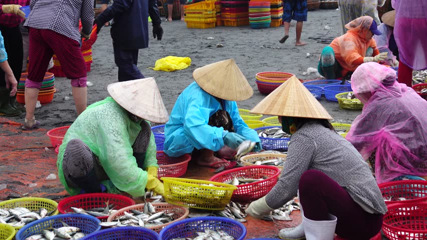 Người Việt là 'bậc thầy' chăm tập Squat nhất thế giới Người Việt là 'bậc thầy' chăm tập Squat nhất thế giới