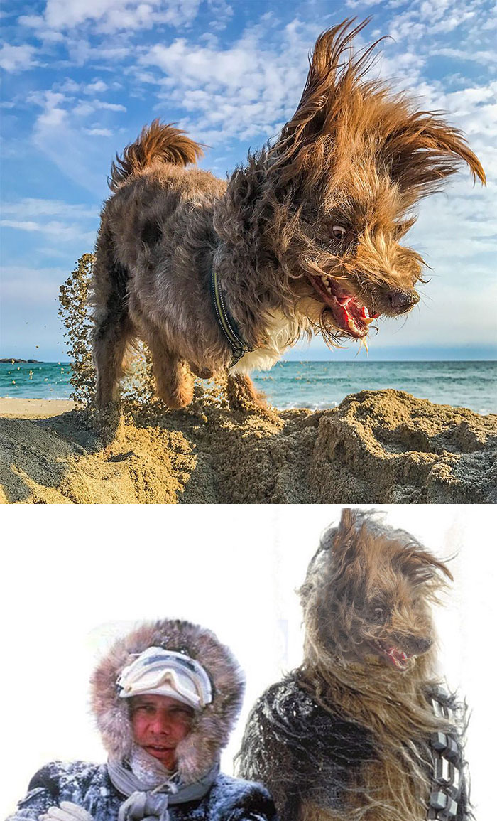 Bạn phải thật hài hước để có thể chiến thắng cuộc thi 'thánh Photoshop' này Bạn phải thật hài hước để có thể chiến thắng cuộc thi 'thánh Photoshop' này