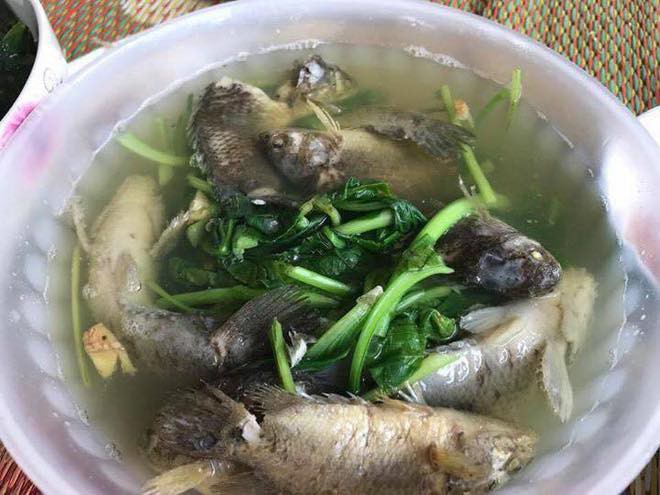 Năm hết Tết đến, ai không biết nấu ăn thì lui về hậu cung đừng ở đây gây hoạ Năm hết Tết đến, ai không biết nấu ăn thì lui về hậu cung đừng ở đây gây hoạ
