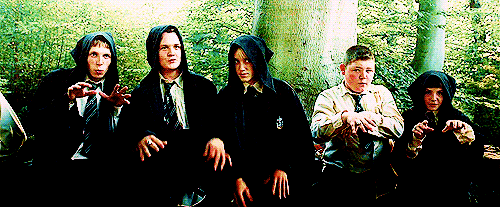 Bạn có phải là một phần của 'thế hệ Harry Potter'? Bạn có phải là một phần của 'thế hệ Harry Potter'?