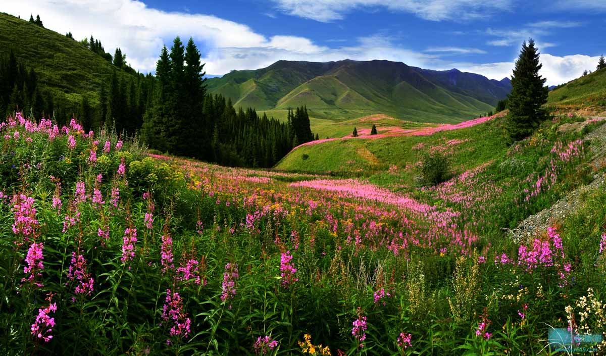 6 thiên đường 'hoang dại' nhất định bạn phải ghé thăm khi đến Tân Cương 6 thiên đường 'hoang dại' nhất định bạn phải ghé thăm khi đến Tân Cương