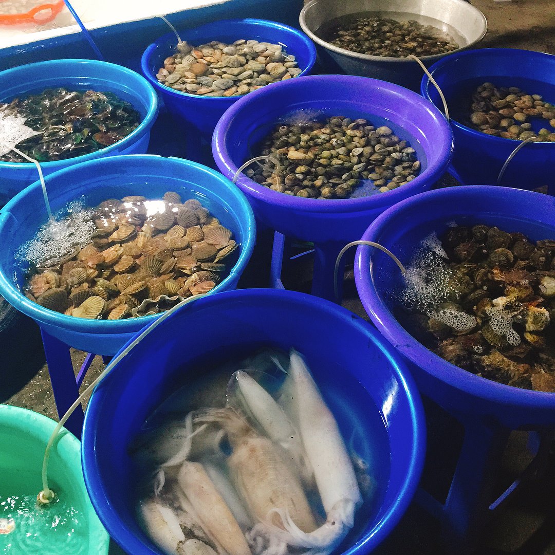 Ăn Tết xong ai cũng béo tròn, đi biển để giảm cân và đón hè thôi nhỉ? Ăn Tết xong ai cũng béo tròn, đi biển để giảm cân và đón hè thôi nhỉ?