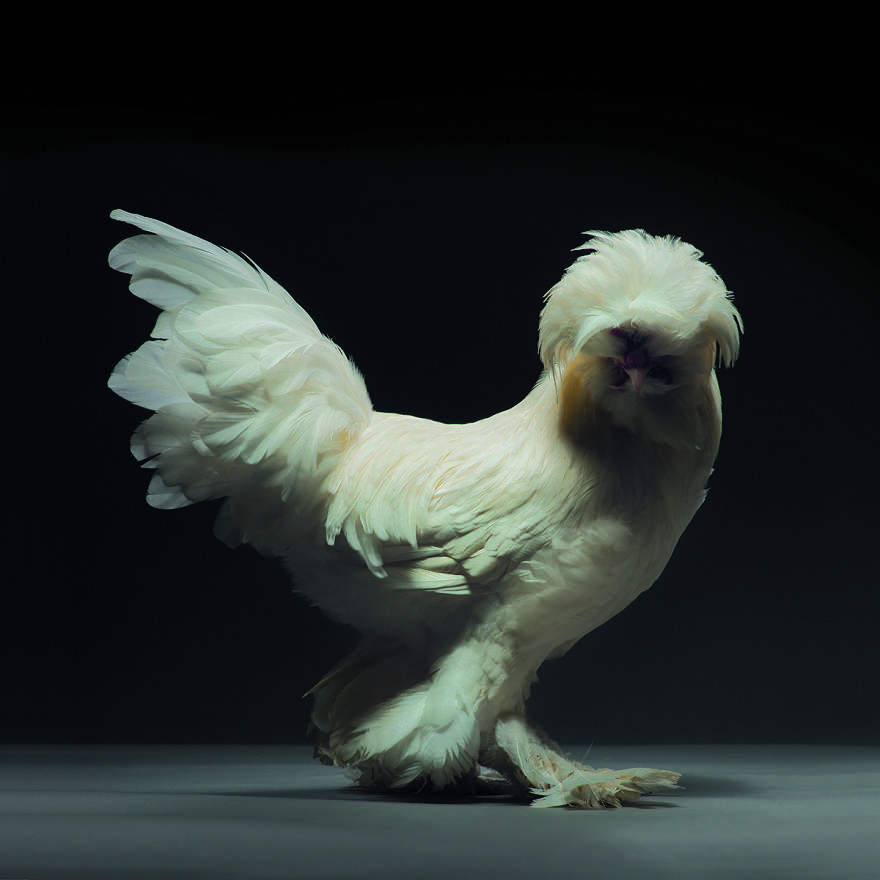 Bên cạnh hotboy và hotgirl, giờ ta có cả 'hotchick' Bên cạnh hotboy và hotgirl, giờ ta có cả 'hotchick'