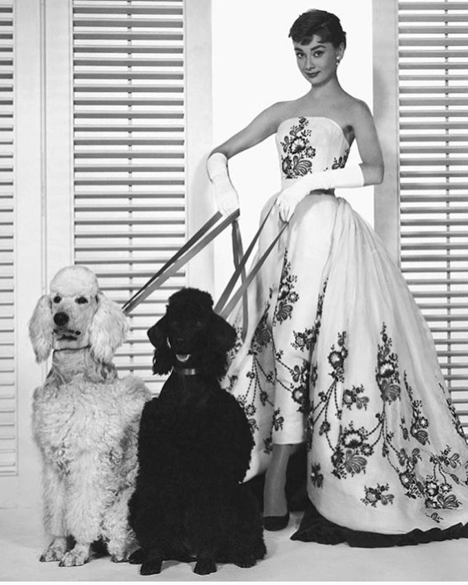 Audrey Hepburn và Givenchy: Mối quan hệ kinh điển kéo dài 40 năm Audrey Hepburn và Givenchy: Mối quan hệ kinh điển kéo dài 40 năm