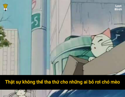 Hóa ra lời thoại trong Thủy Thủ Mặt Trăng lại 'so deep' đến vậy! Hóa ra lời thoại trong Thủy Thủ Mặt Trăng lại 'so deep' đến vậy!