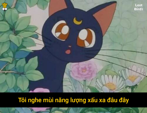 Hóa ra lời thoại trong Thủy Thủ Mặt Trăng lại 'so deep' đến vậy! Hóa ra lời thoại trong Thủy Thủ Mặt Trăng lại 'so deep' đến vậy!