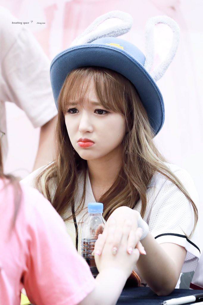 Mũ tai thỏ Judy trở thành hot trend ở Hàn nhờ công lăng xê của loạt idol nổi tiếng Mũ tai thỏ Judy trở thành hot trend ở Hàn nhờ công lăng xê của loạt idol nổi tiếng