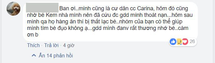 Số phận các em thú cưng sau vụ hỏa hoạn ở chung cư Carina? Số phận các em thú cưng sau vụ hỏa hoạn ở chung cư Carina?